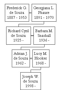FredTree.jpg (22343 bytes)